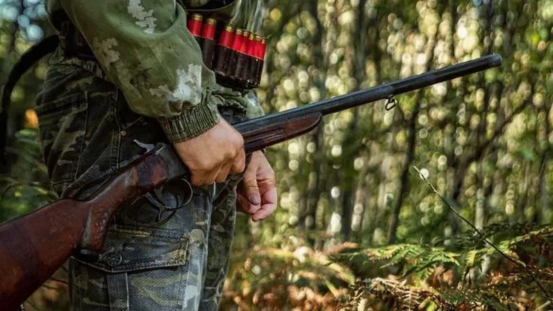 Vila Flor: três detidos por caça em área de proteção