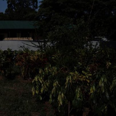 Surto de cólera em Moçambique regista 63 casos em três dias no norte