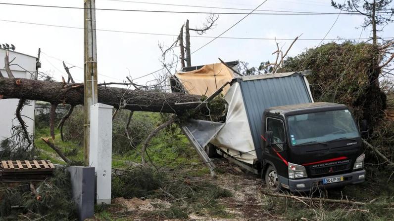 Árvores de grande porte caíram sobre postes interrompendo o transporte da eletricidade e dos fios de fibra ótica