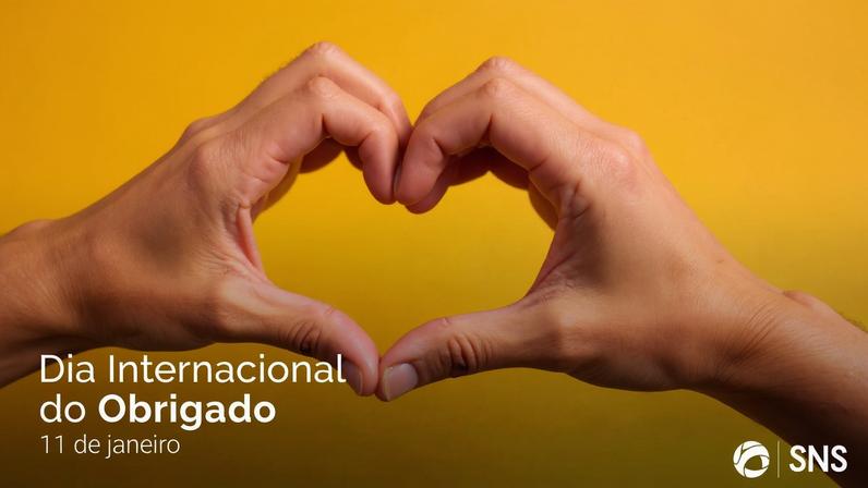 A gratidão é um sentimento positivo que reconhece as outras pessoas, mas também …