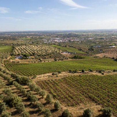 CCDR Alentejo prepara apoios à agricultura após as depressões