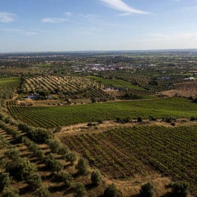 Cabras ou ovelhas no Alentejo: diferenças, vantagens e desafios da criação