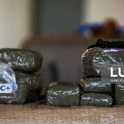 Homem e mulher detidos no Algarve por posse de 23 kg de haxixe em preventiva