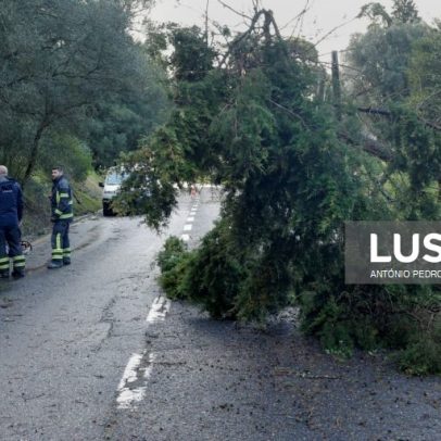 PSP alerta Coimbra e Leiria para manter-se em segurança em casa
