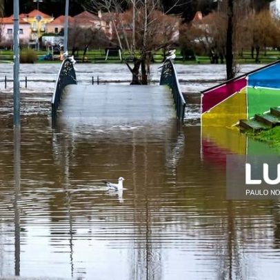 Alerta de cheia no vale do Mondego permanece ativo
