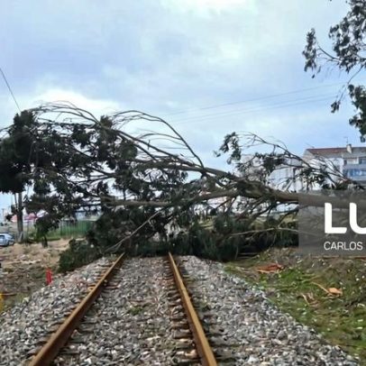 Circulação ferroviária condicionada em várias linhas às 18:00