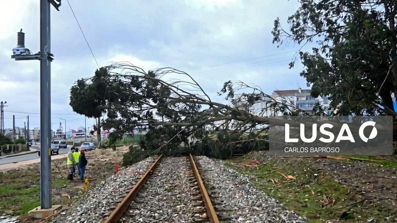 Circulação ferroviária condicionada em várias linhas às 18:00 - IP