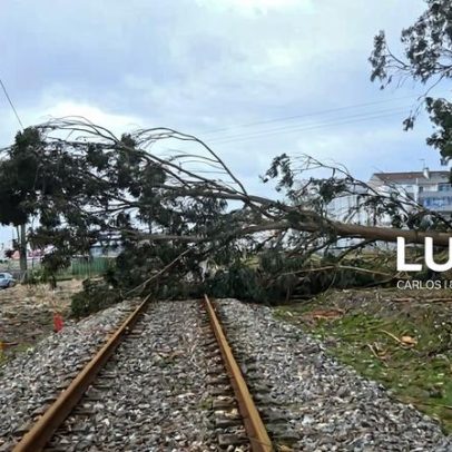 Circulação ferroviária condicionada em várias linhas às 15:00
