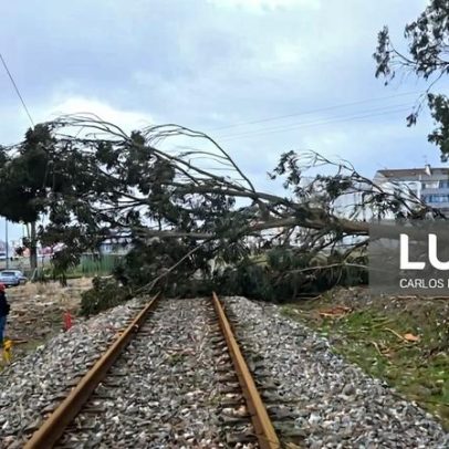 Linhas ferroviárias do Norte, Beira Baixa e Oeste permanecem suspensas
