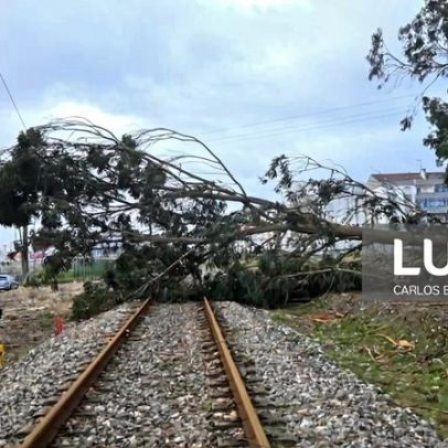Circulação ferroviária suspensa nas Linhas da Beira Alta, Beira Baixa e Douro