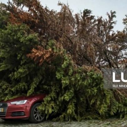 Quatro mortos em Leiria e cinco no país por mau tempo