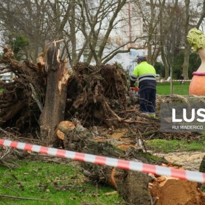 Proteção Civil regista 171 ocorrências na Península de Setúbal