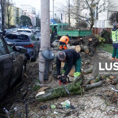 Região Oeste regista 300 ocorrências, 41 deslocados, 6 desalojados e 4 feridos
