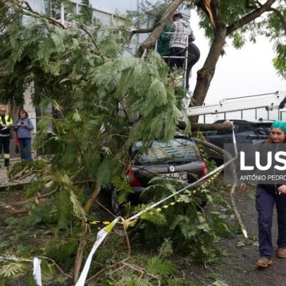 Proteção Civil regista 3.300 ocorrências no continente por depressão Kristin