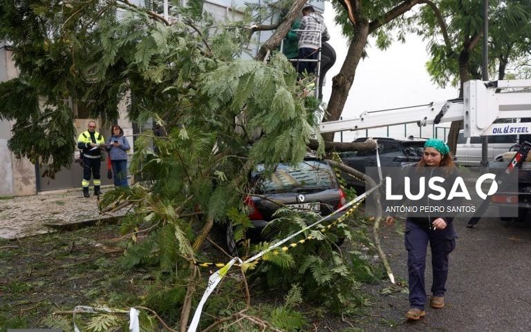 Proteção Civil aumenta para 3.300 ocorrências no continente devido a depressão Kristin