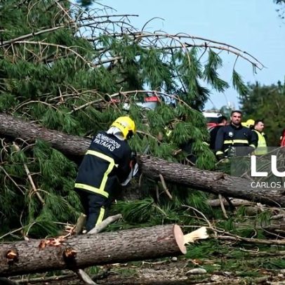 Mais de 5.400 ocorrências e 18.000 operacionais mobilizados até às 22:00