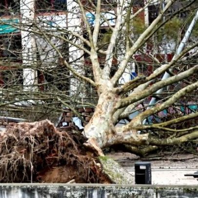 Vários distritos em alerta por chuva, vento, neve e agitação marítima