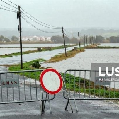 Governo abre apoio a agricultores por mau tempo com taxas até 100%