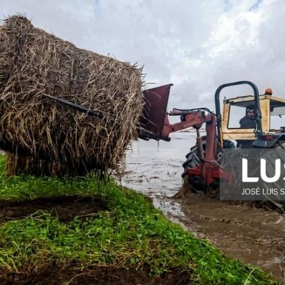 Ministério da Agricultura lança plataforma para sinalizar prejuízos