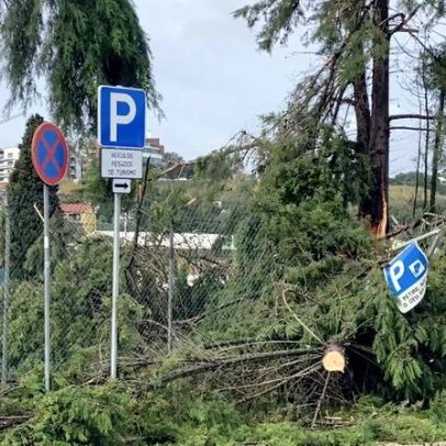 Escolas reabrem em Coimbra, exceto Martim de Freitas