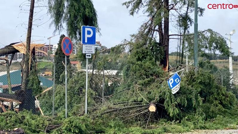 Escolas reabrem em Coimbra, exceto Martim de Freitas