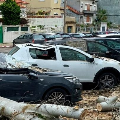 Árvore de grande porte cai em Almada e destrói três carros