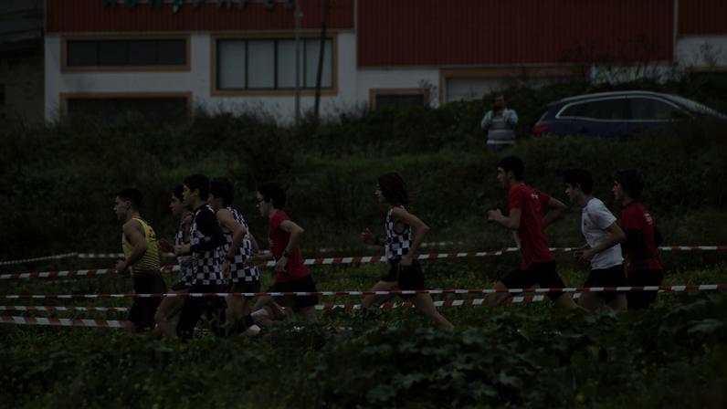 Mais de 1500 alunos vão participar no Corta-Mato Distrital do Desporto Escolar em Almeirim
