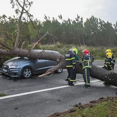 Mais de 5.400 ocorrências e 18.000 operacionais empenhados até às 22:00