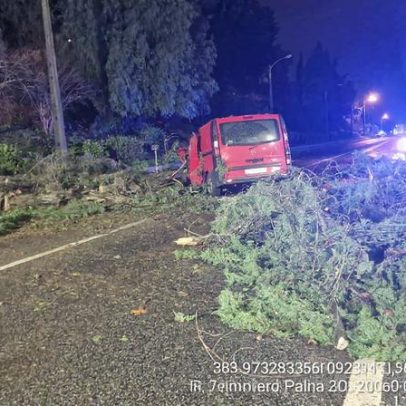 Depressão Kristin gera 73 ocorrências em Vila Franca de Xira e uma vítima