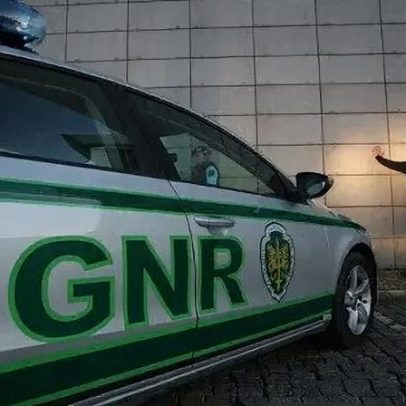 Detido em Macedo de Cavaleiros em flagrante por meios de caça não autorizados