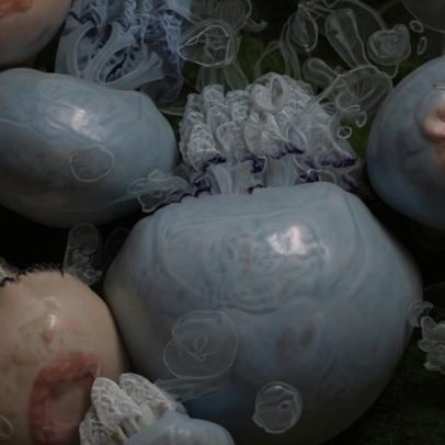 Medusas e anémonas têm padrões de sono semelhantes aos humanos