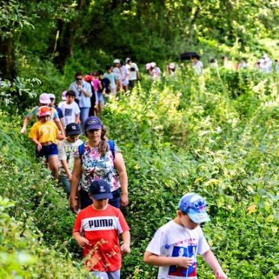 Penafiel mobiliza 4 mil pessoas em ações de educação ambiental em 2025