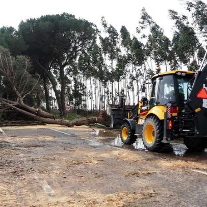 Proteção Civil regista quase 10 mil ocorrências desde terça-feira