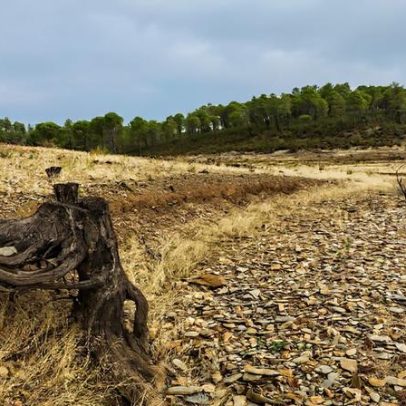 Poucos pedidos de habitação após reclassificar solos rústicos