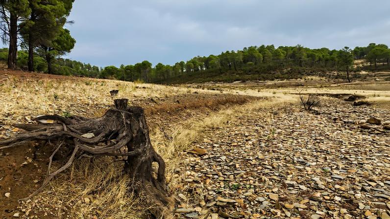 Reclassificação de solos rústicos para urbanos com poucos pedidos para habitação
