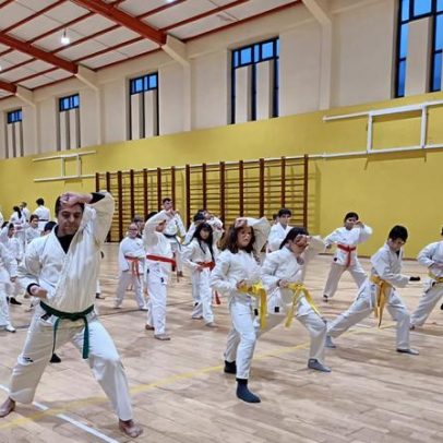 Treino de karaté de alto nível reúne dezenas de atletas em Celorico de Basto