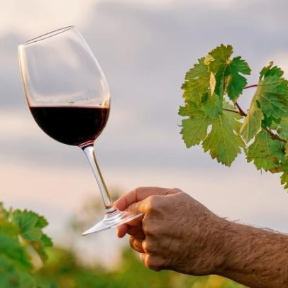 Seminário em Santarém analisa mercado do vinho e do azeite