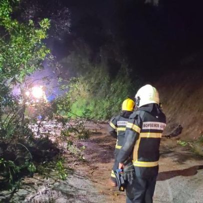 Estrada Aveiro–Águeda interrompida após deslizamento de terras em Travassô