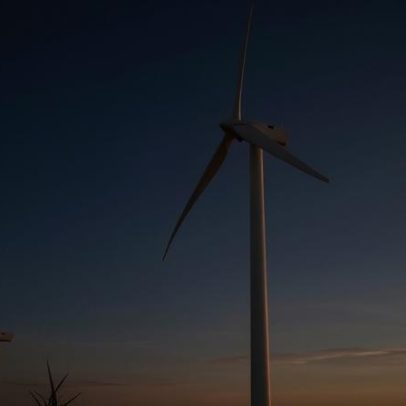 BE alerta para impactos irreversíveis do parque eólico Galp litoral alentejano