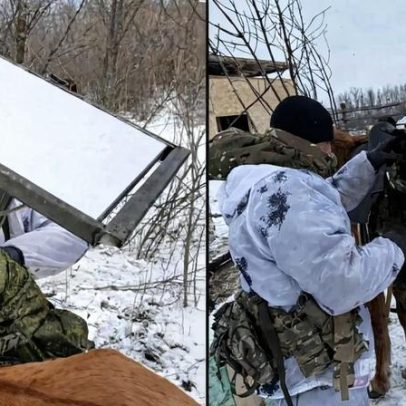 Rússia equipa cavalos com antenas Starlink