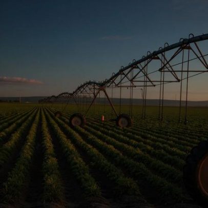 Dependência alimentar e o desmantelamento da agricultura europeia em debate