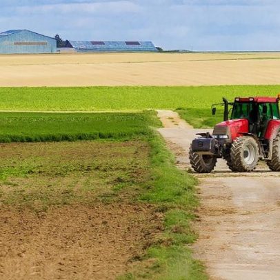 Agricultura e floresta recebem novo apoio de 11 milhões para inovação