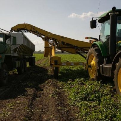 Mercosul: comércio preocupa saúde, justiça e soberania alimentar