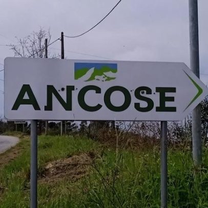 Direção da ANCOSE vai a votos em 20 de janeiro