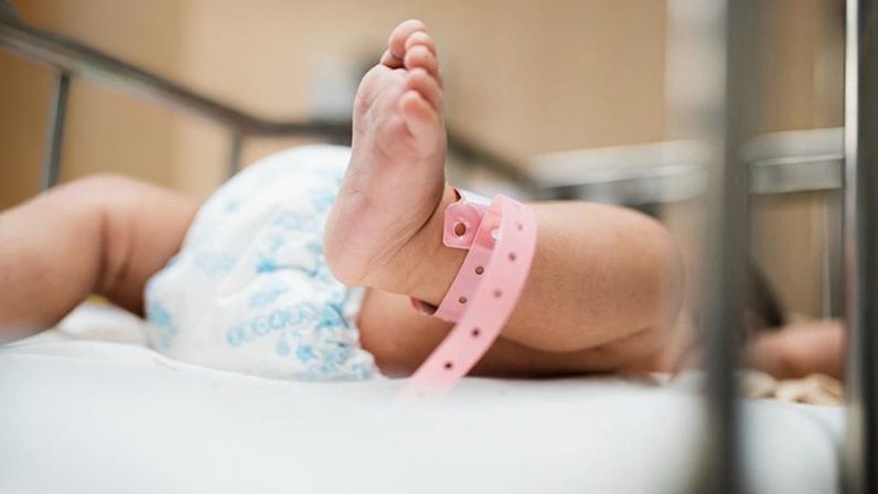 Nelas: Município já distribuiu 150 mil euros em apoios à natalidade