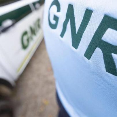 Investigação em Penafiel resultou no resgate de 124 animais