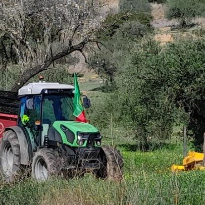 Produtores de Serpa organizam marcha lenta contra o acordo do Mercosul