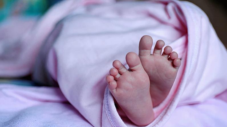 MANGUALDE: Concelho com maior número de nascimentos em 2025