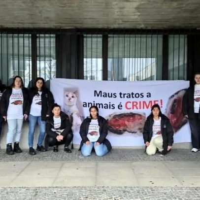 Mulher condenada por maus-tratos após filha colocar gata no forno