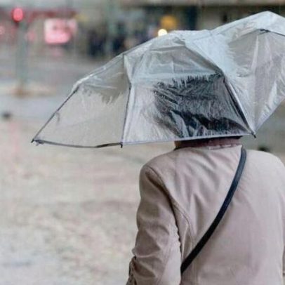 Quedas de árvores e inundações: cerca de 100 ocorrências pelo mau tempo